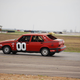 Illustration for article titled The 24 Hours Of LeMons Texas Gator-O-Rama Über Gallery: The Europeans
